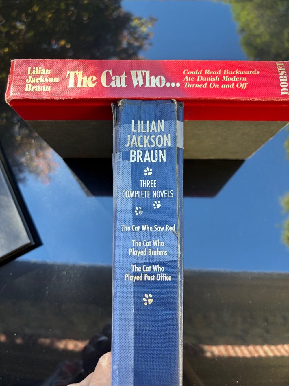 Lillian Braun Jackson, Cat story books